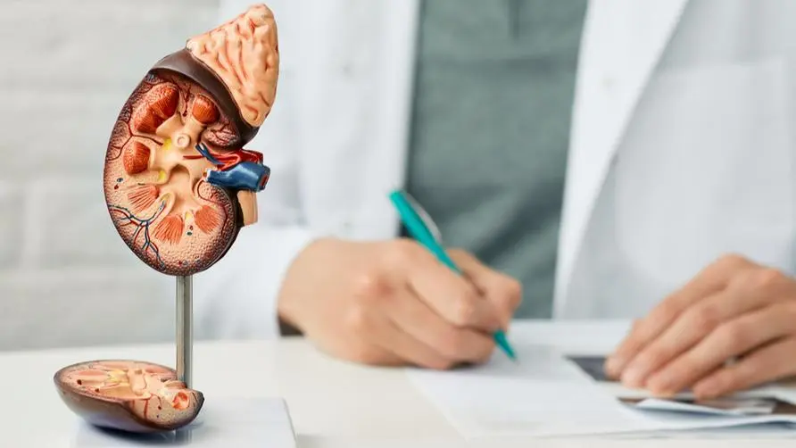 Diabetes is not only getting younger, but it is also found that kidney function may be reduced by 30%! From the age of 35, you should pay attention to the "three major indicators"