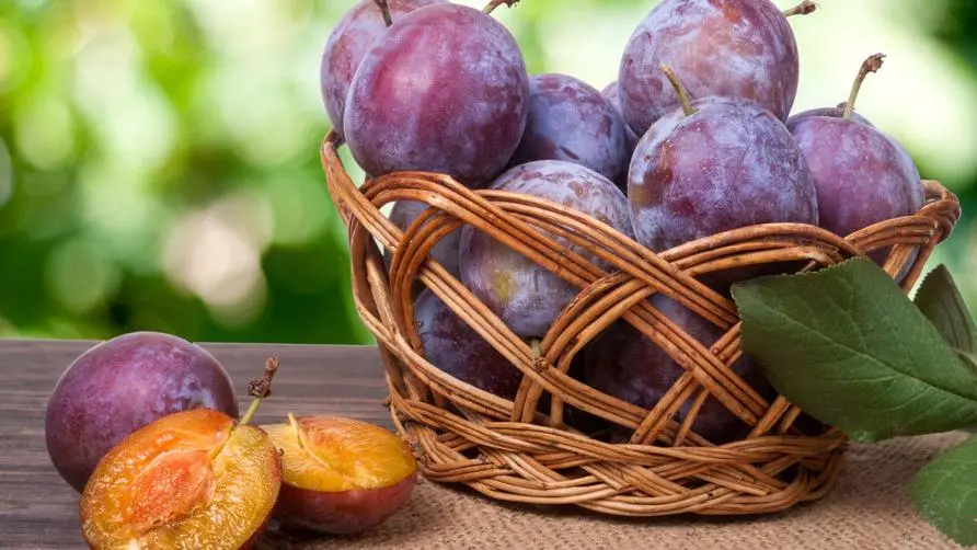 Eating plums can actually help lower blood pressure? Research confirms: "1 ingredient" can bring 4 major benefits to the body