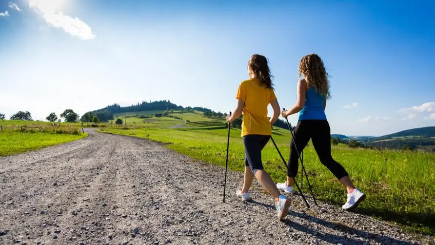 More effective than high-intensity training? Study: Practicing "Nordic walking" every day burns more than 70% of calories