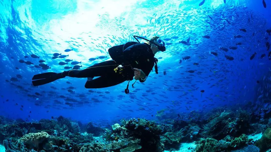 Do you feel more tired after diving in summer? Medical warning: Red rash and joint pain may be signs of "diver's disease"