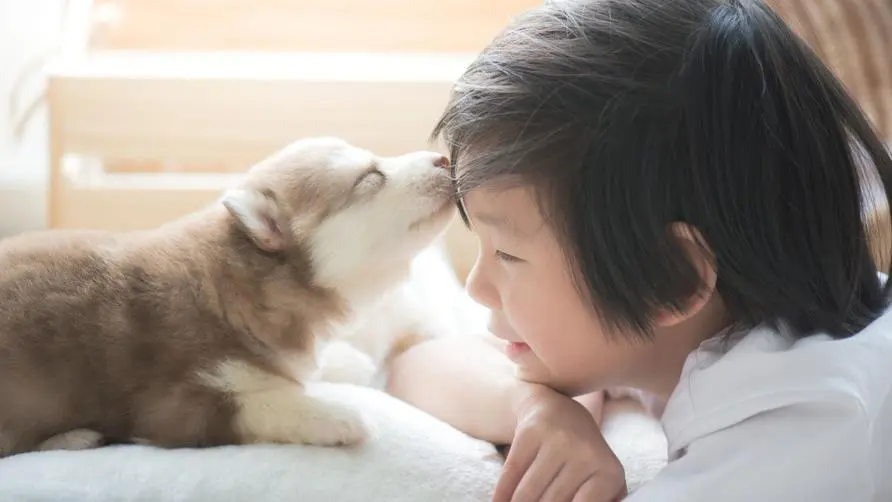 Furry kids and kids no longer have to choose one over the other! Japanese study: Keeping pets can prevent "5 types of food allergies" in infants and young children