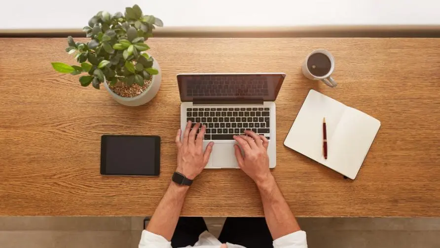 Can placing potted plants in the office reduce work anxiety? Study says "3 kinds of plants" can best help reduce stress