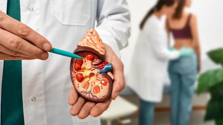 Reasons for kidney dialysis and the culprit of kidney damage! Doctors name "Top Ten Habits That Harm the Kidneys": Drinking with hand-shaken drinks and instant noodles are on the list