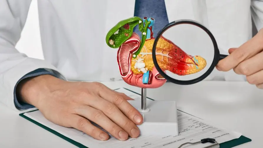 More troublesome than fatty liver? "Fatty pancreas" affects the three major organs of liver, pancreas and heart. Medical education "1 thing" to help prevent it